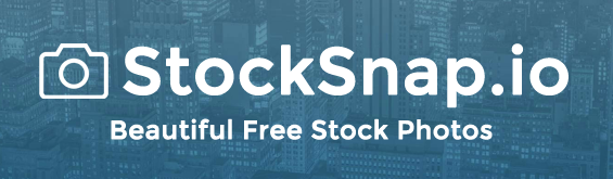 stocksnap.io - Лучший бесплатный источник, CC0, стоковые фотографии «делай, что хочешь». Просмотрите и загрузите тысячи стоковых изображений без авторских прав.